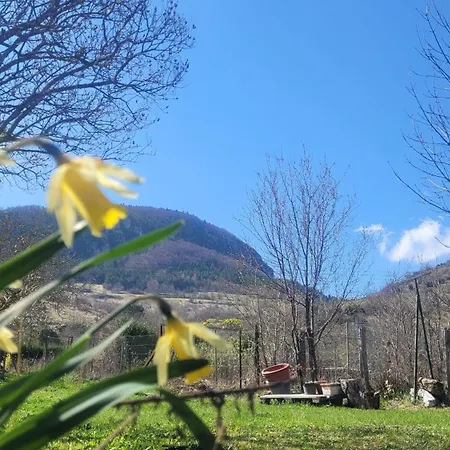 Havre De Paix Entre Montagne Et Foret